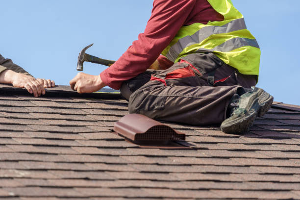 Best Roof Gutter Cleaning  in Clemson, SC