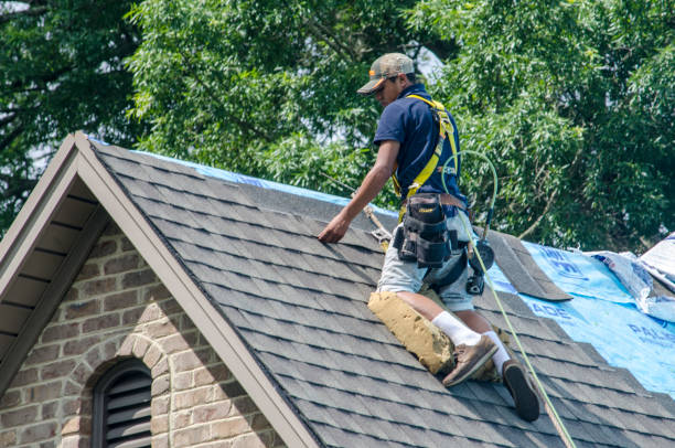 Best Storm Damage Roof Repair  in Clemson, SC