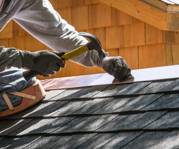Roof Gutter Cleaning in Clemson, SC